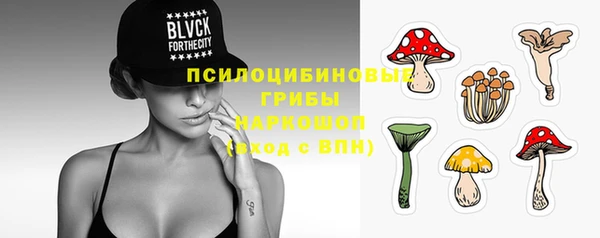 PSILOCYBIN Балахна