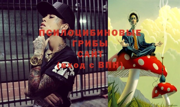 дмт Баксан