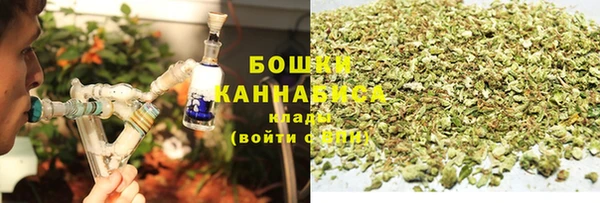 PSILOCYBIN Балахна