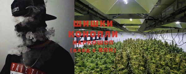 PSILOCYBIN Балахна